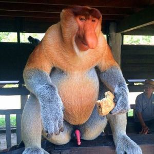 Meet your Posher, Stevie